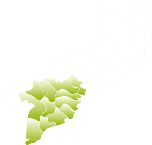 DISTRIBUTION<span>SYSTEM</span>